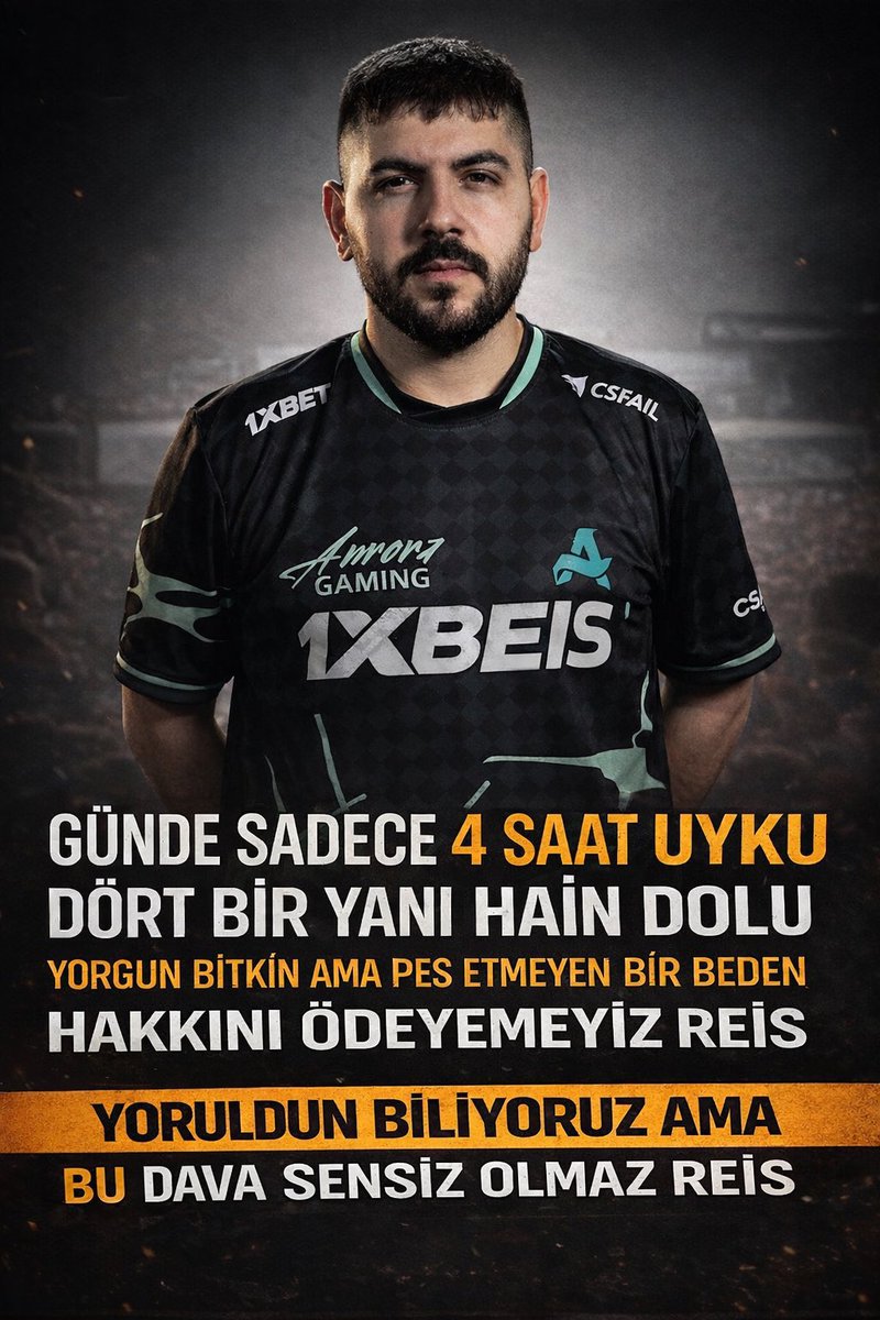 zNoires tweet media
