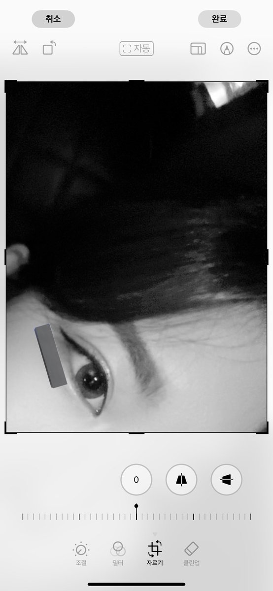 로로 tweet media