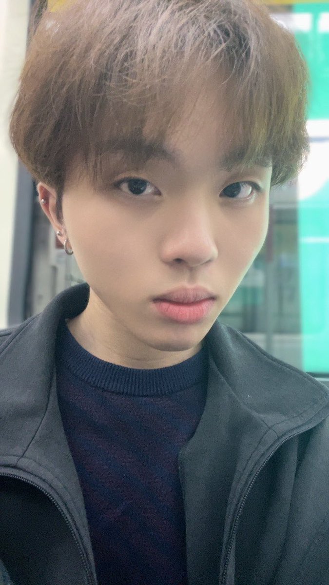 코이누：( tweet media