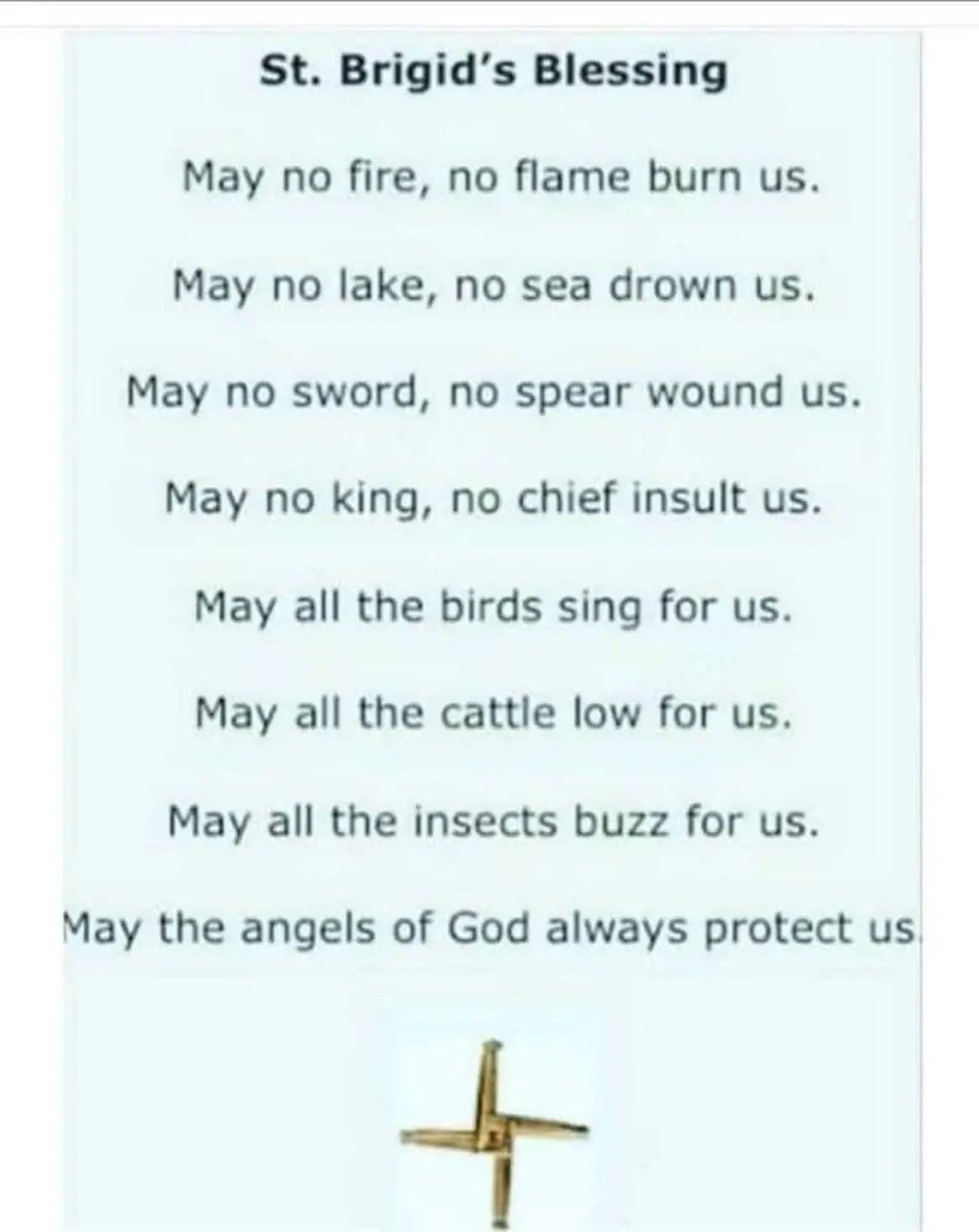 Fergal McBride Sheehy tweet media