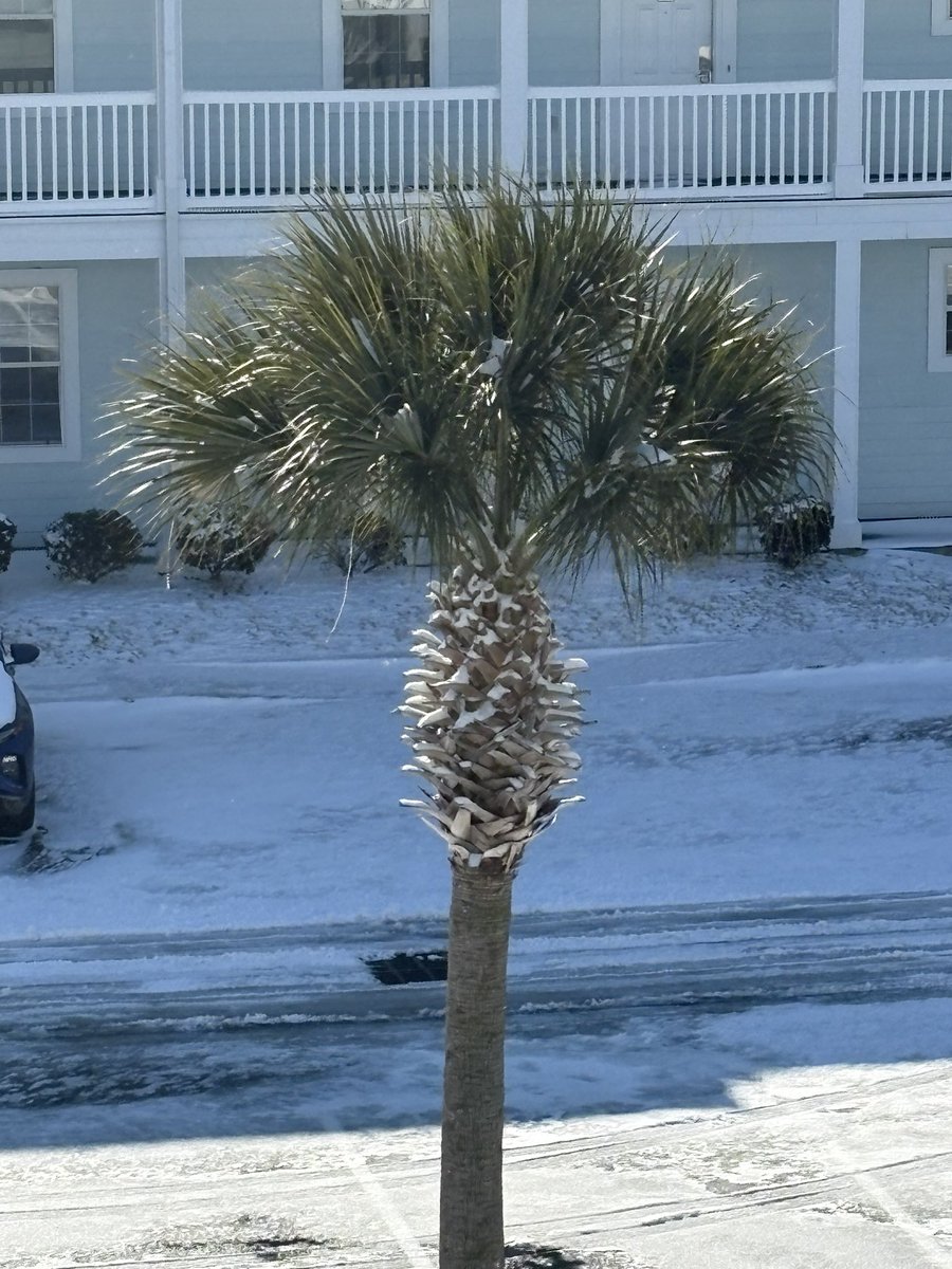 BestEverYou's tweet image. Good Morning from snowy #MyrtleBeach #SouthCarolina! 
#SnowDay