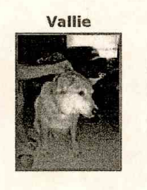 𐌔Ꝋ𐌋Ꝋ tweet media