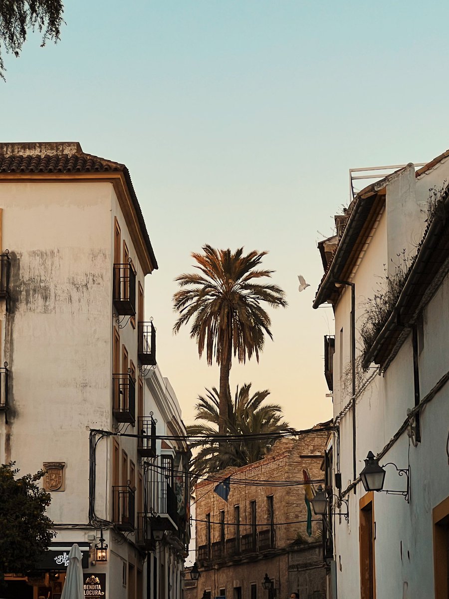nonsrviam_'s tweet photo. más cosillas de Córdoba ✨ https://t.co/162aSqkCoj