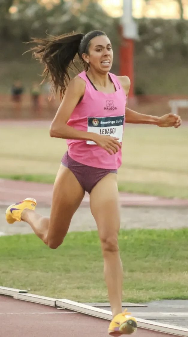 Leonardo Malgor tweet media