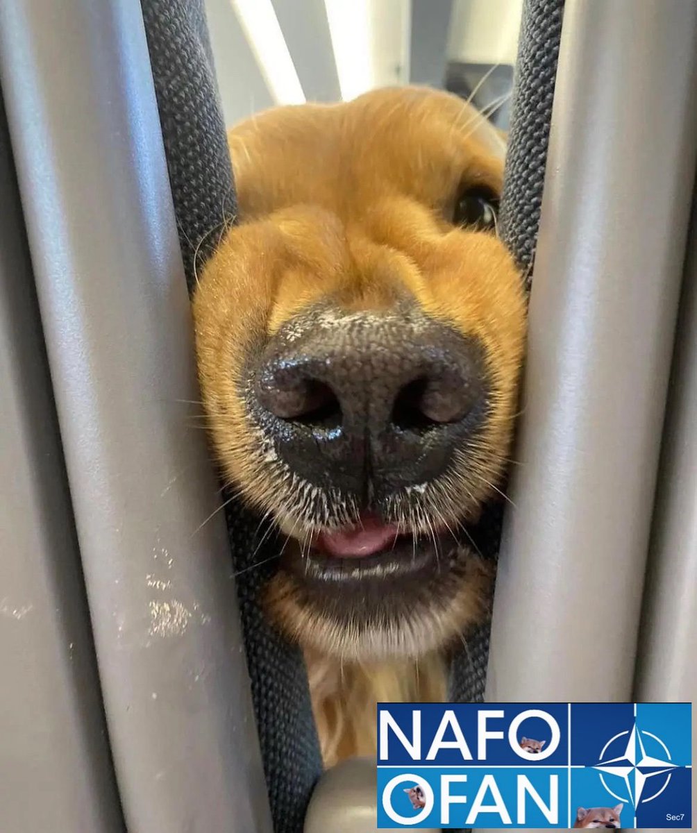 Marie მარი 🌻 tweet media