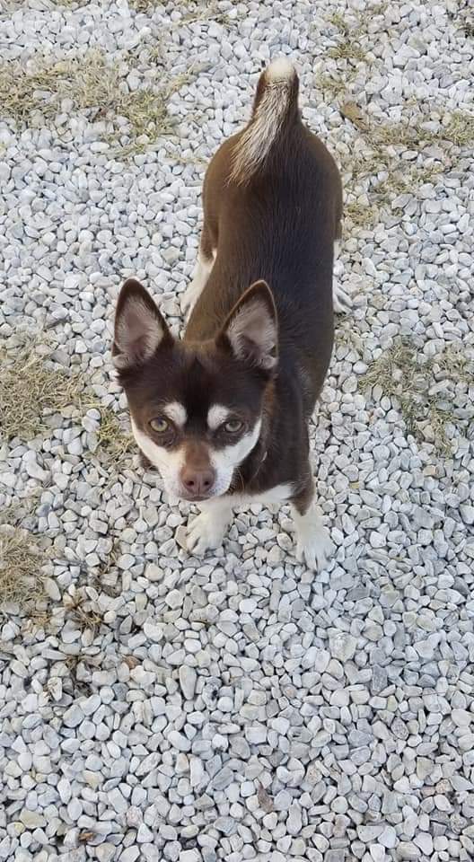 It's 21°. The Groundhog had better do the right thing tomorrow, or he's going to be introduced to this guy