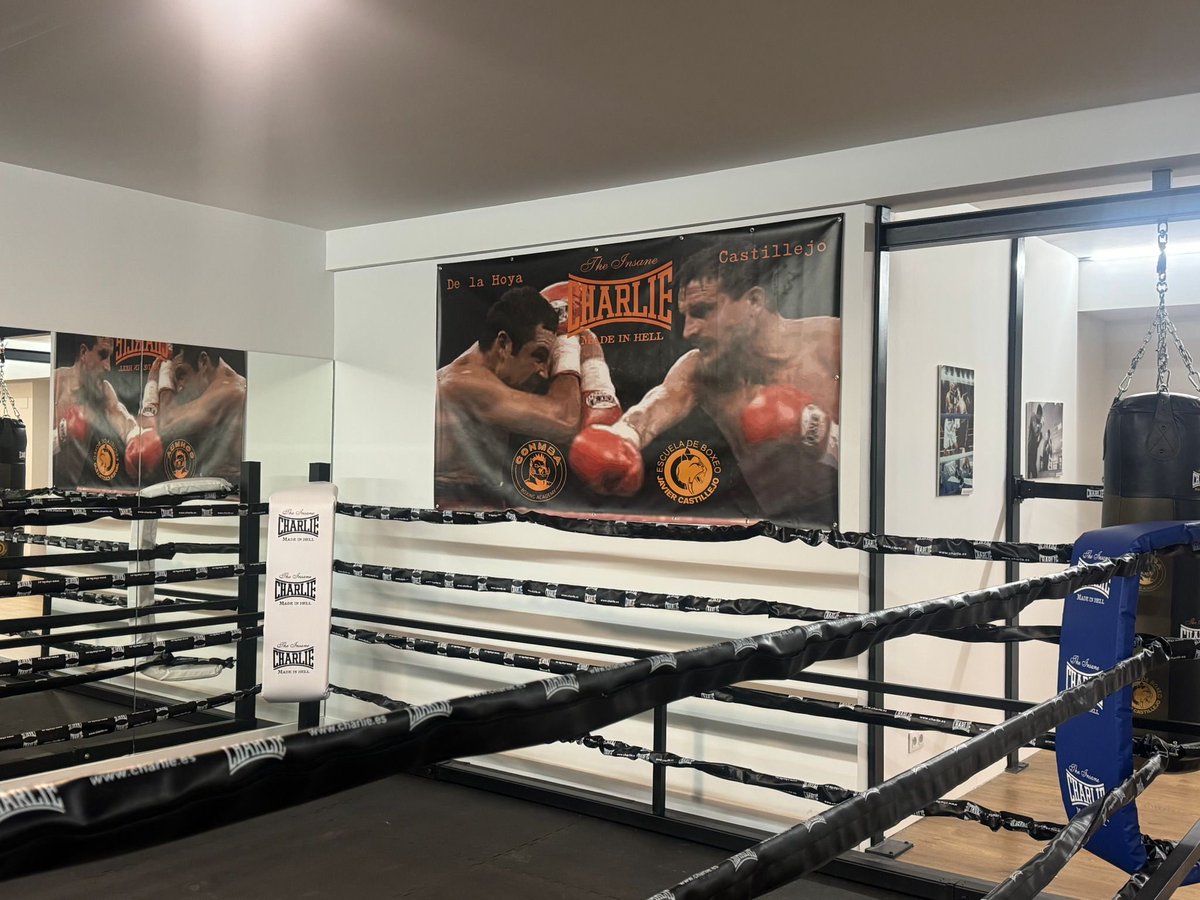 Javier Castillejo tweet media