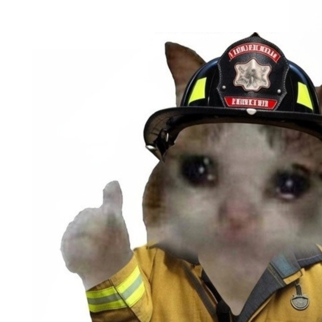 onchain killah 🆗 tweet media