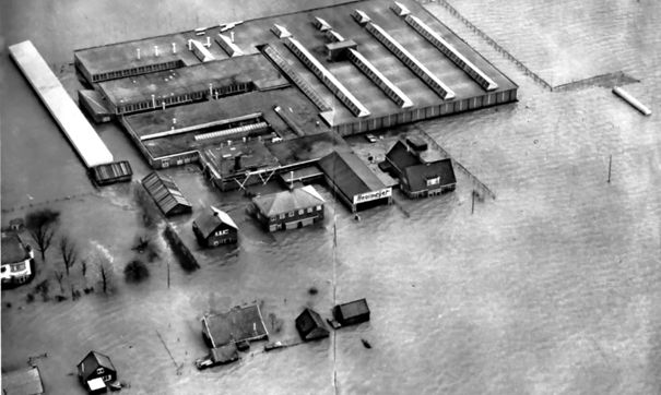 Leo van Gelder tweet media