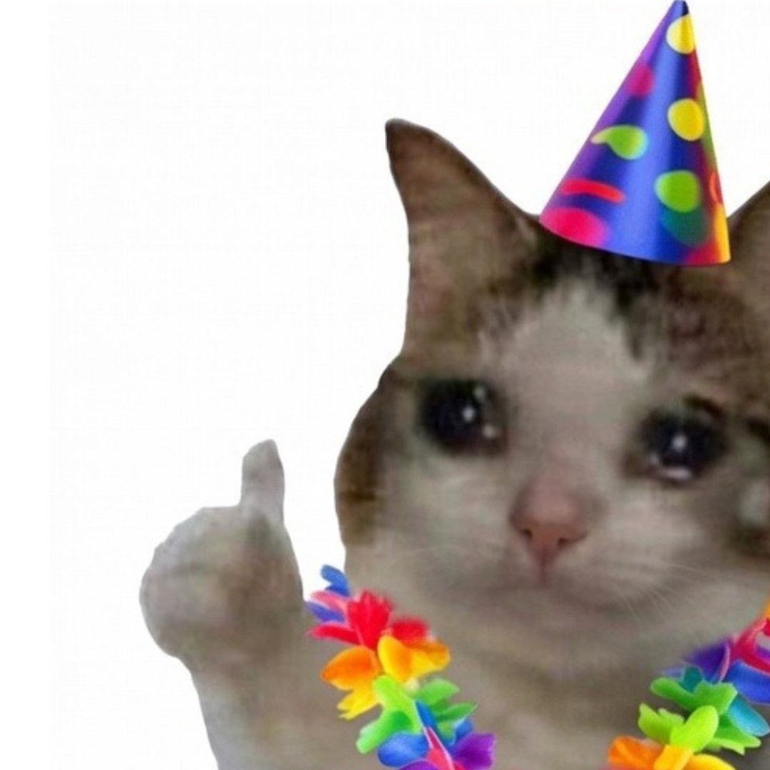 onchain killah 🆗 tweet media