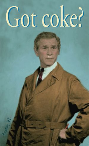 G.W. Bush-era Leftism (@dubyaeraleft) on Twitter photo 