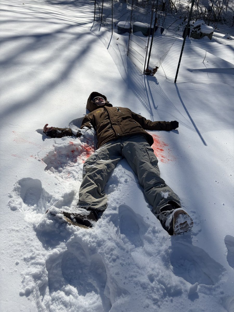 Nick Perkins • Hebrews 12:14 tweet media