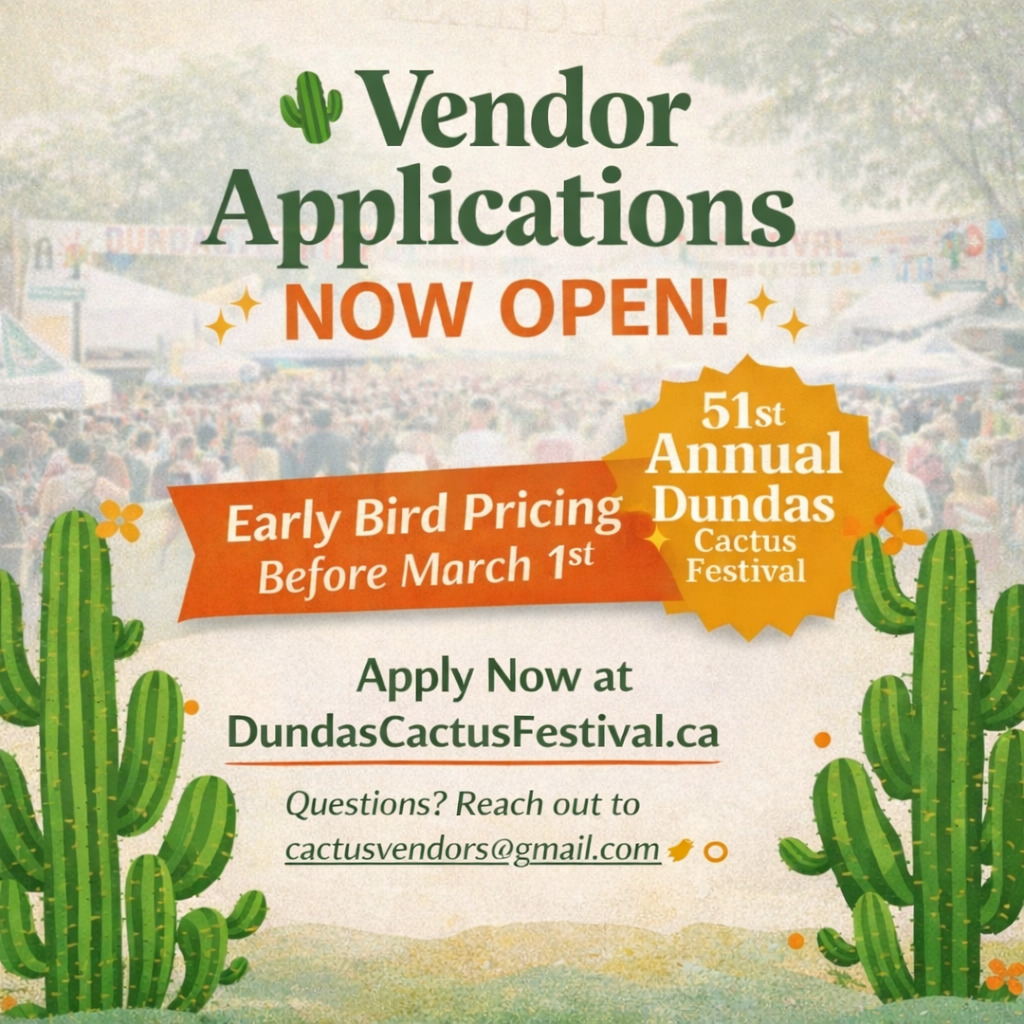 Cactus Festival tweet media