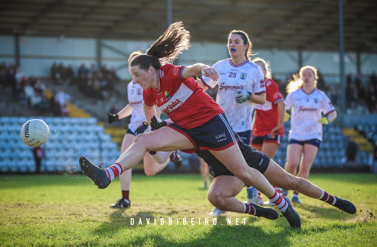 David Ribeiro tweet media