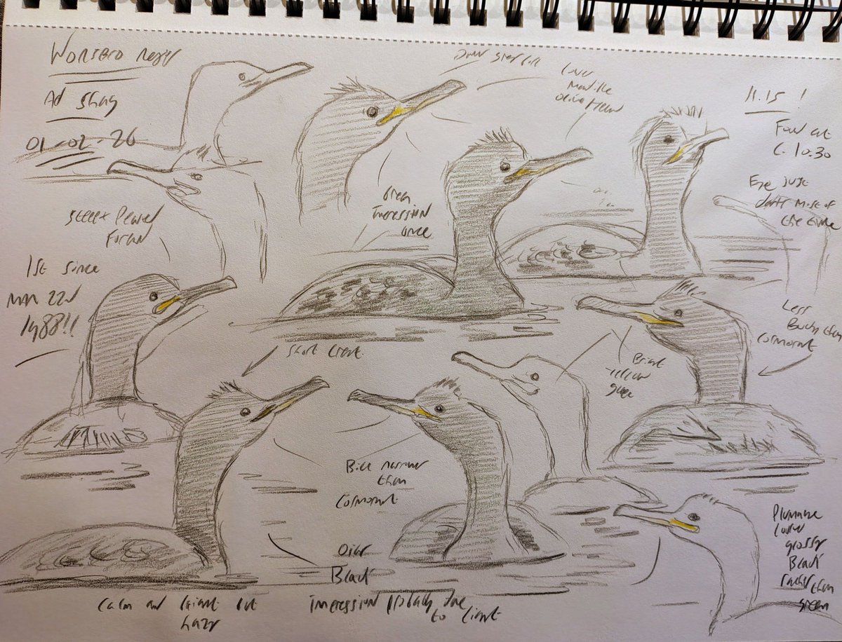 Russell Boland tweet media