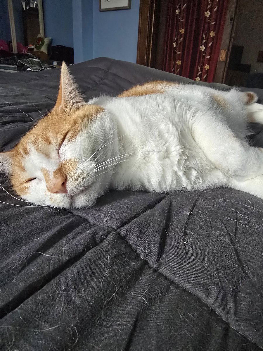 She does not give one shit that it's snowing