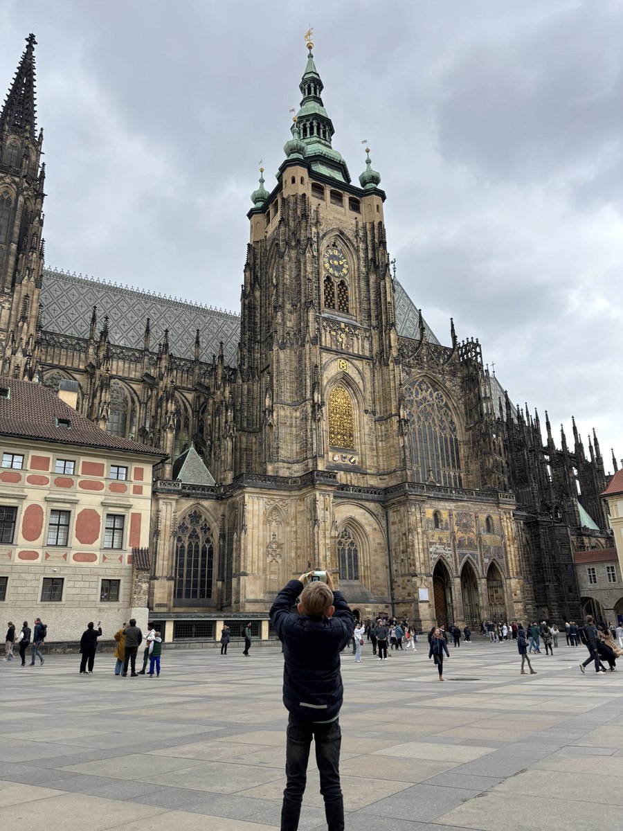 briscolad 🎪 tweet media