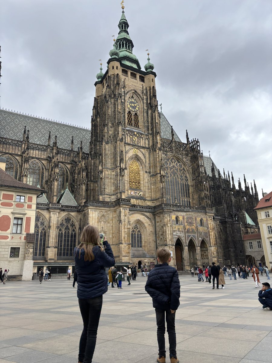 briscolad 🎪 tweet media