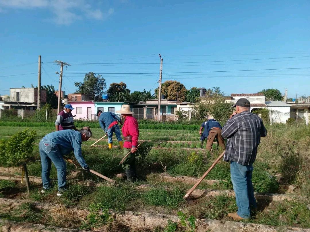 Dixami Rodríguez Gómez tweet media