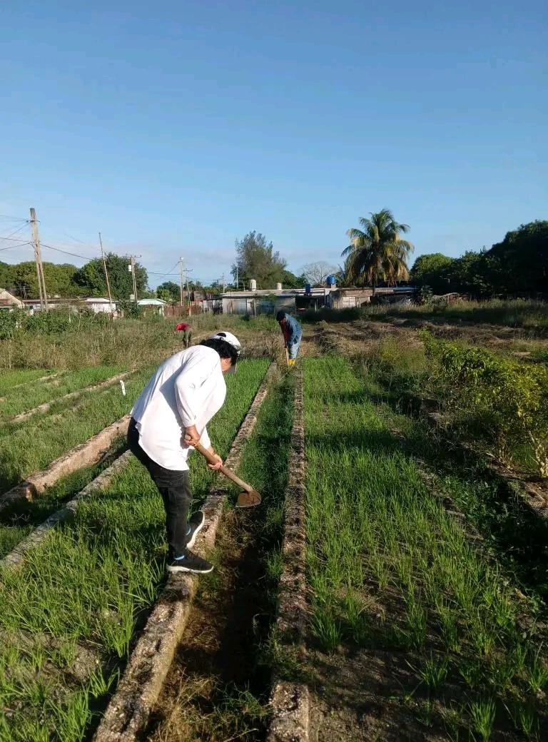 Dixami Rodríguez Gómez tweet media