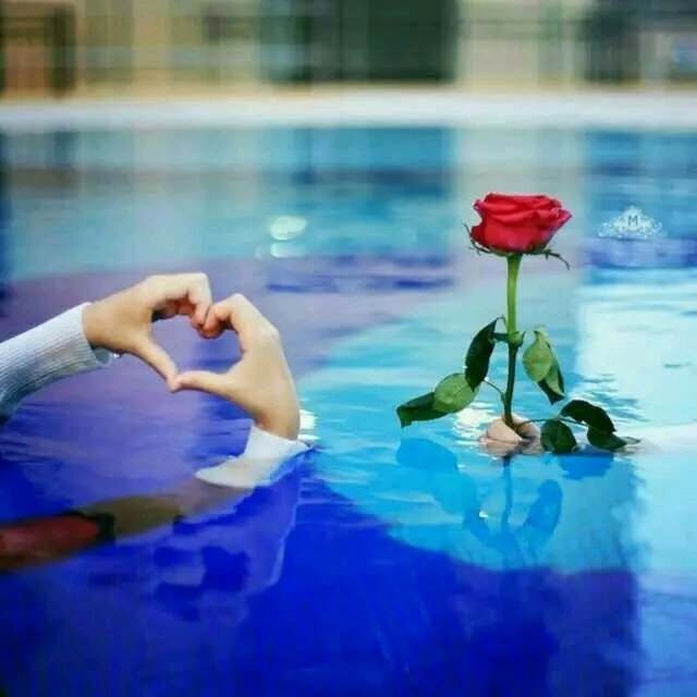 123456tt5's tweet photo. راس مـالي  فـالحيـاه الطـيبين
اللي على وضح النقا دستورهم

النهج واضـح لا يسار ولا يمين
والوجـه واحد لو تشين امورهم ..

اهداء لكافه متاب��يني الكرام 💞💞💞 https://t.co/aUpa0s9VzH