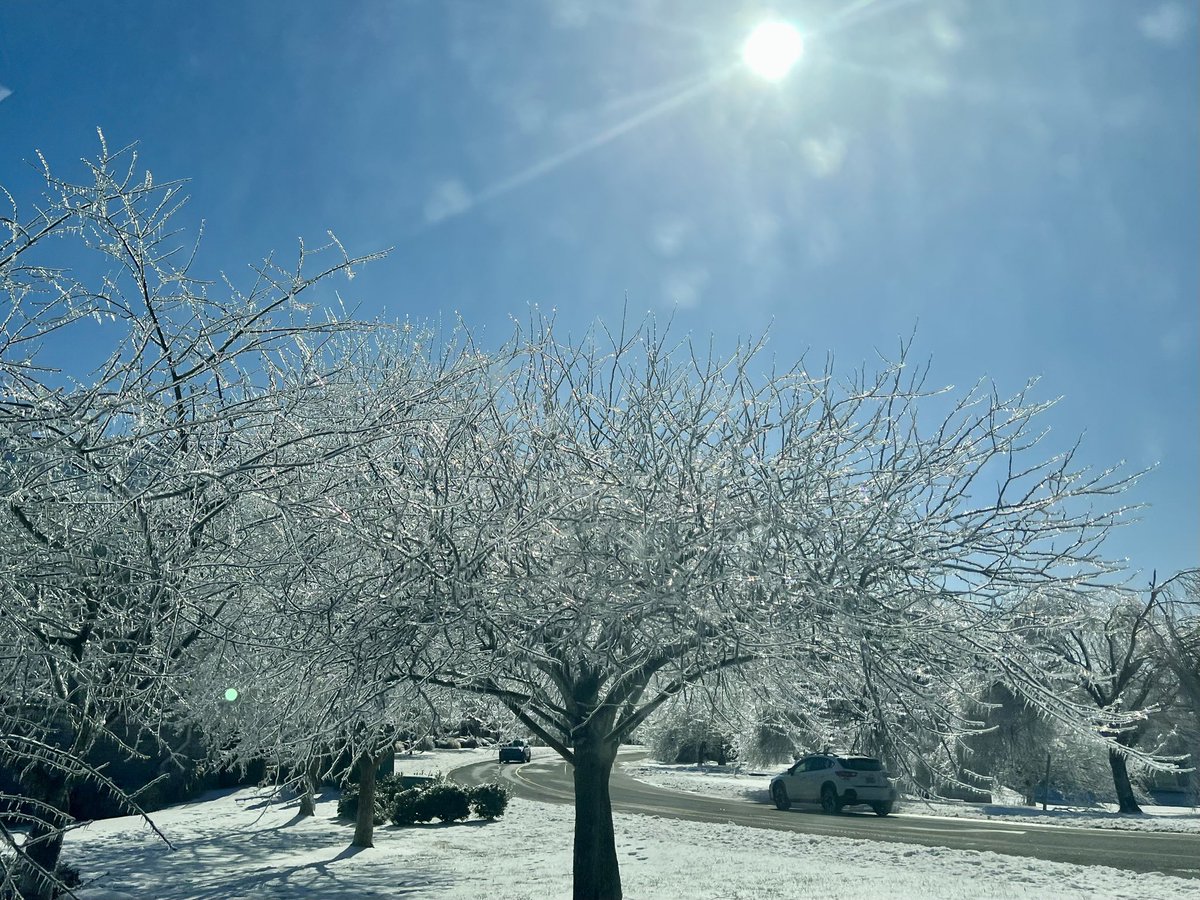 bcherry4's tweet photo. Ice storm in Nashville, TN https://t.co/7ZciHdeRTT
