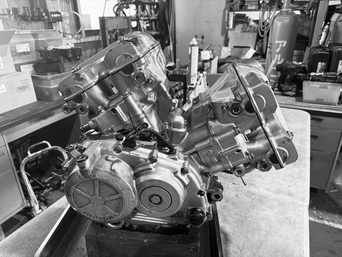 🦎🌎🦩人見(HITOMI) (@p1103q) / Posts / X