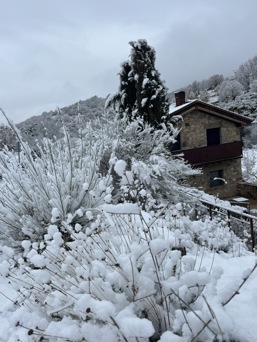 GredosHotel's tweet photo. Hotel Gredos María Justina, en el interior del parque de Gredos. https://t.co/JPLVy5WfpU