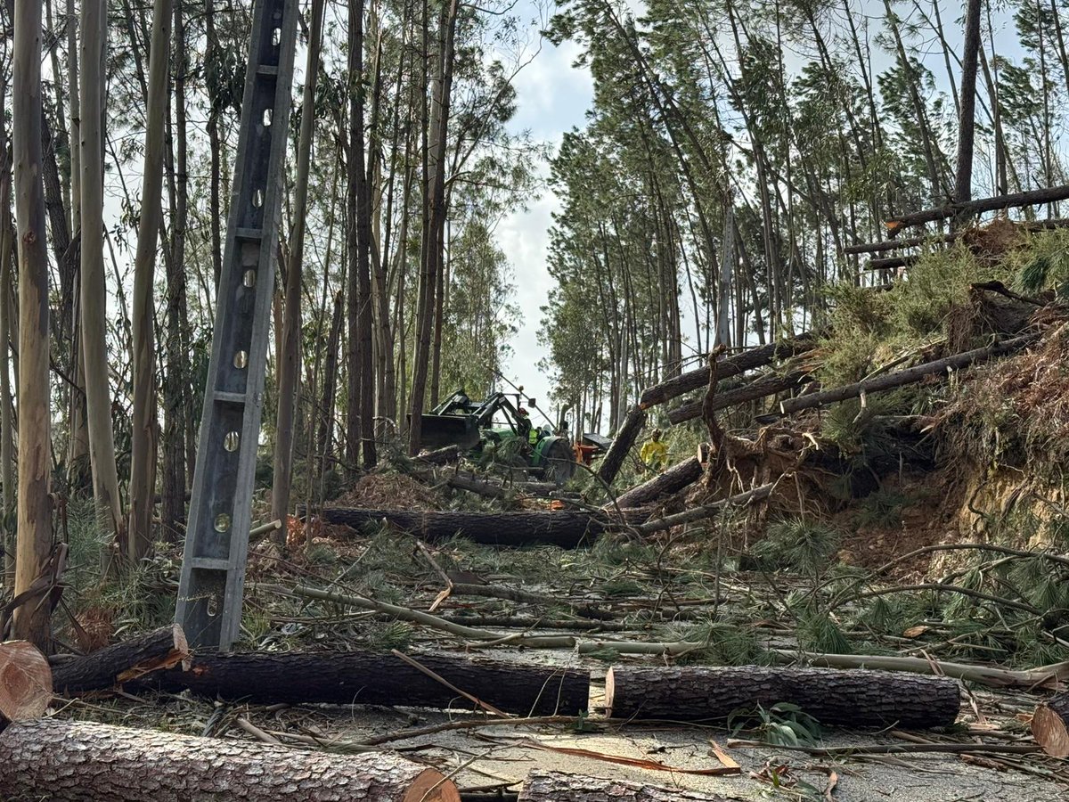 ProteccaoCivil's tweet photo. 🇵🇹 A Força Especial de Proteção Civil da #ANEPC mantém-se no terreno a realizar trabalhos de desobstrução de vias e caminhos em freguesias de Ourém, Leiria, Pombal e Marinha Grande.

Os operacionais continuam empenhados na reposição da normalidade e na segurança das populações. https://t.co/ajfENhBjEM