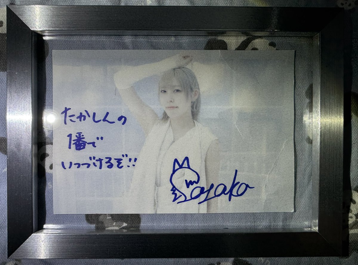 in a frame さーちゃん！ #Lionnetgirl 入特で頂けたさーちゃんの宣材