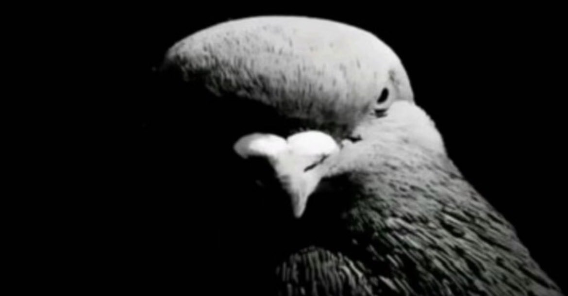 thyknife_'s tweet image. Back to work tomorrow after my 2 week break #capitalism #wheredidsocietygowrong #ilesttempspourunerévolution #revolución