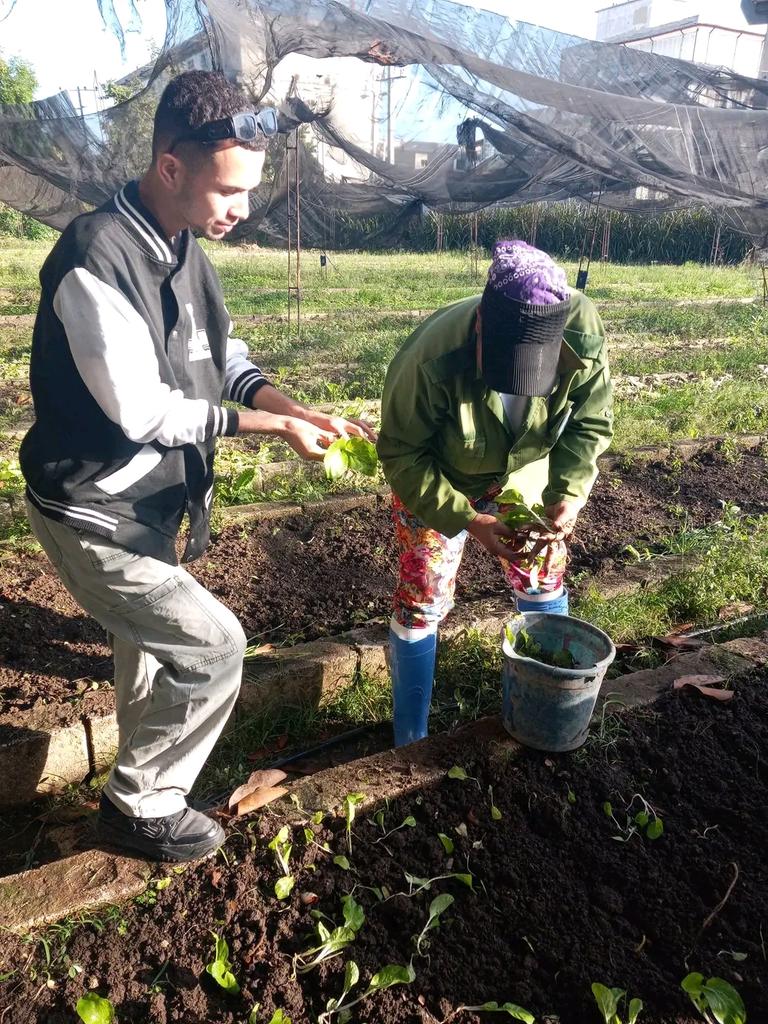 Dixami Rodríguez Gómez tweet media