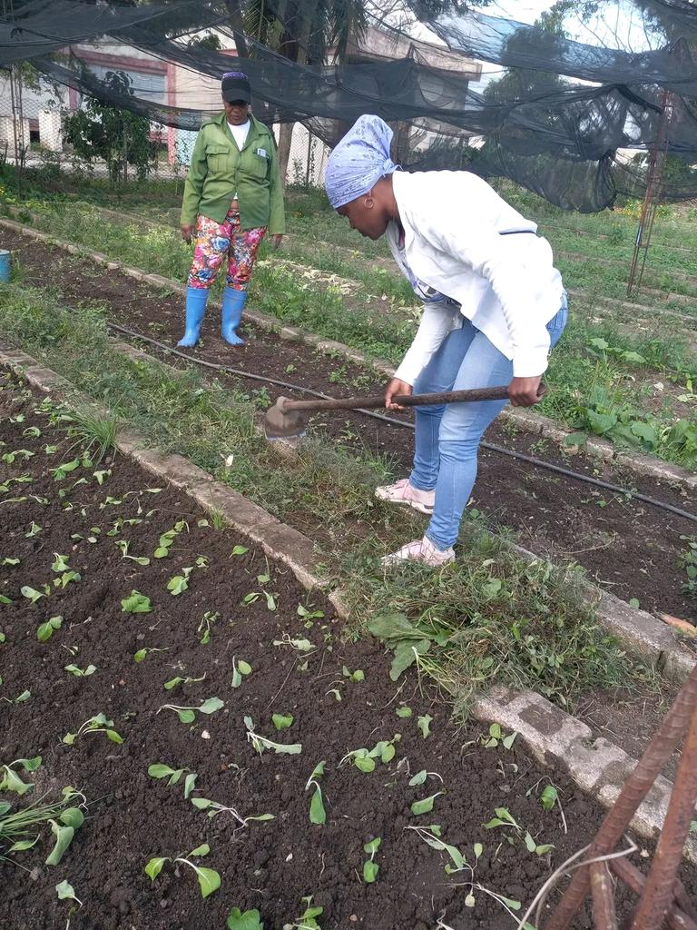 Dixami Rodríguez Gómez tweet media