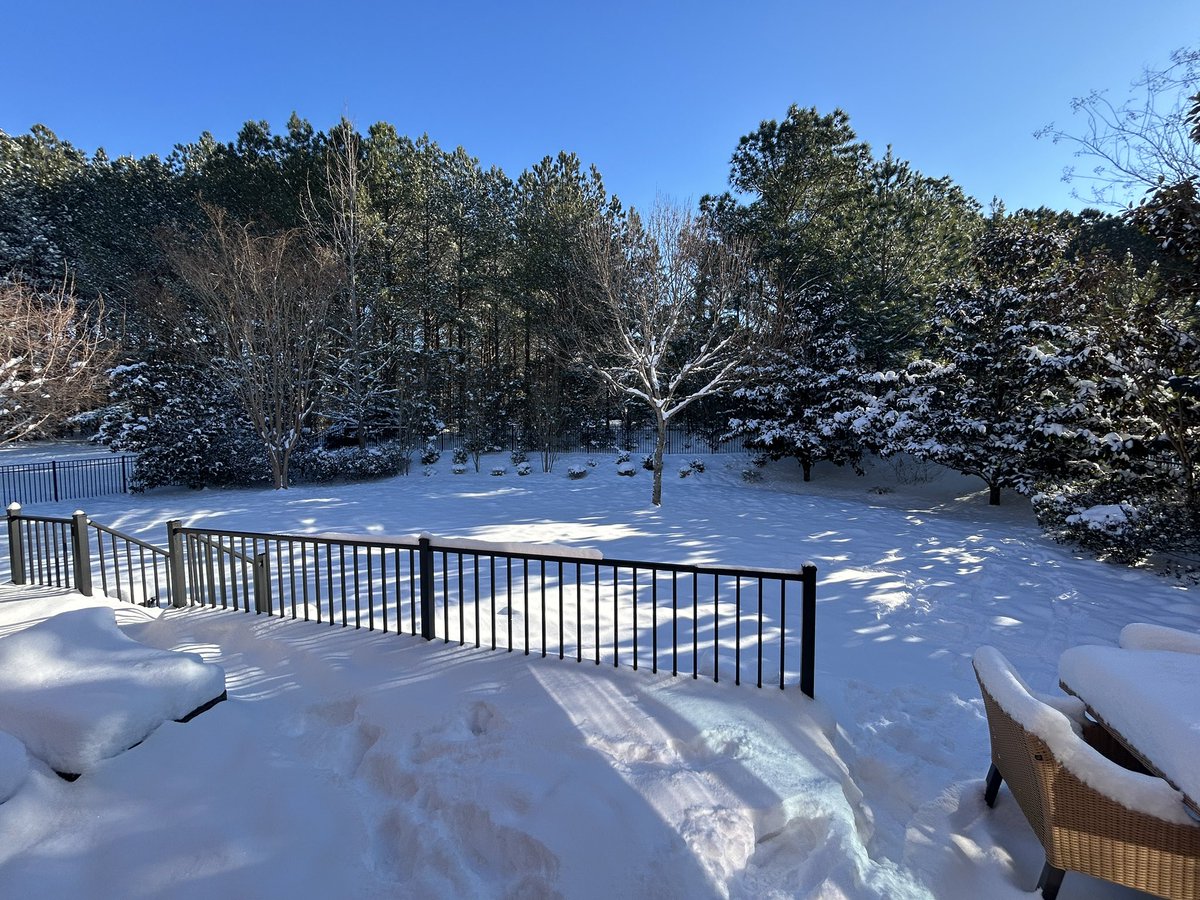 Matt Schick tweet media