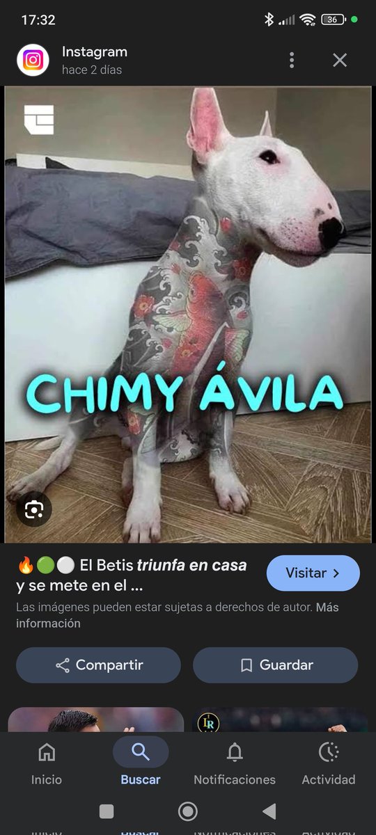 bichoamante2's tweet photo. @Juanbz27 Os ha marcado esto https://t.co/iHqV0kdETh