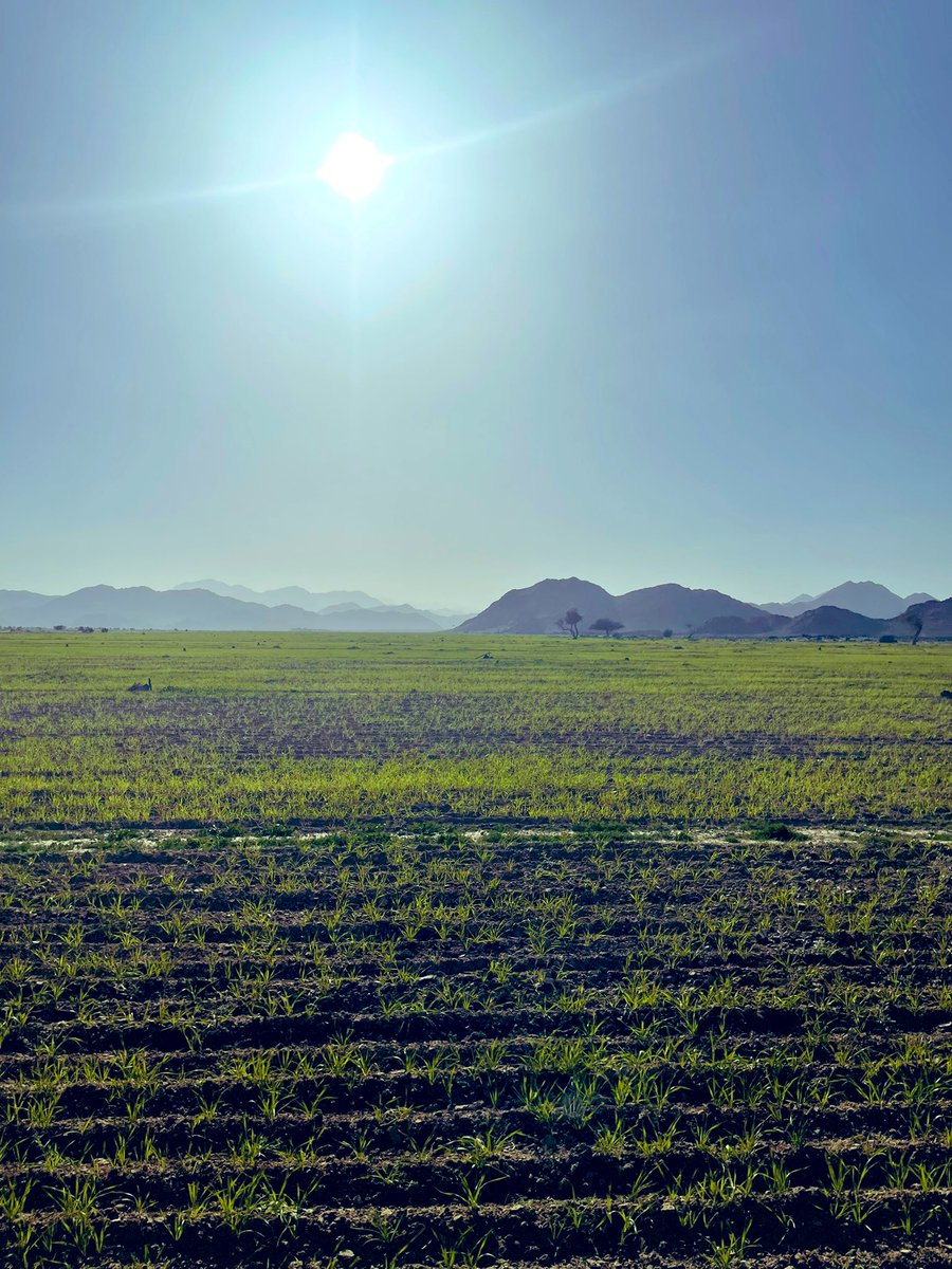 ملتقى قبيلة السمره من جهينة tweet media