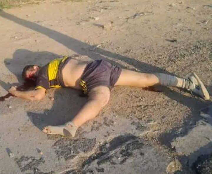 El artista // La obra