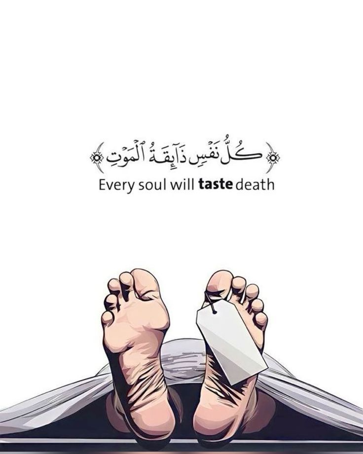 𝐀𝐥-𝐐𝐮𝐫𝐚𝐧 || القرآن tweet media