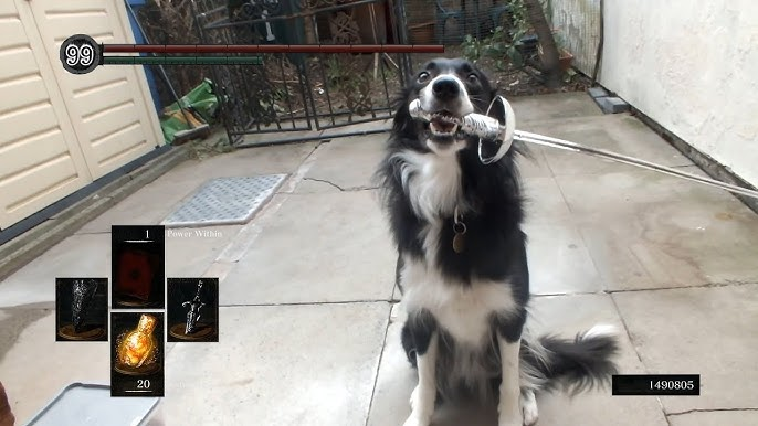 Ta-Lun Yen tweet media