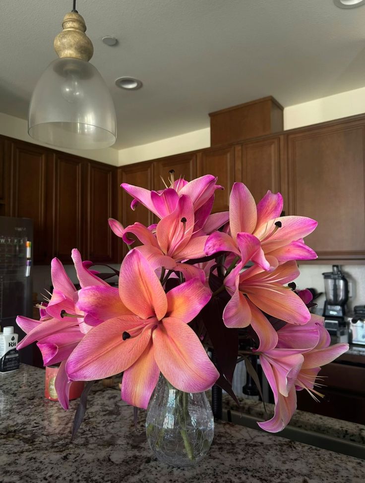 bloomifyyy's tweet image. 