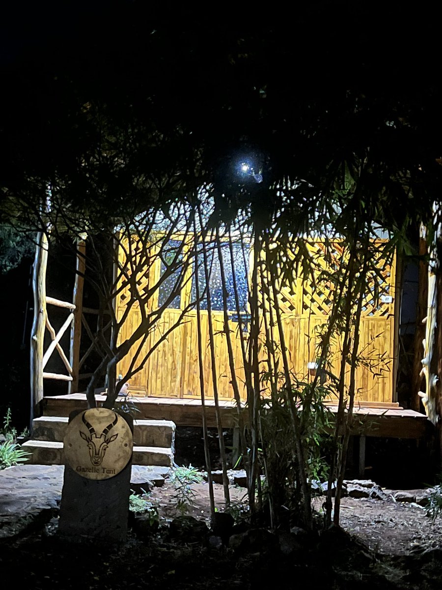 EcoPark's tweet photo. Wildlife symbol’s at our campsite bungalows 🏕️🌱🙌🦁🦓🐢🦌 will continue 🙌 https://t.co/3otwiKSwuh