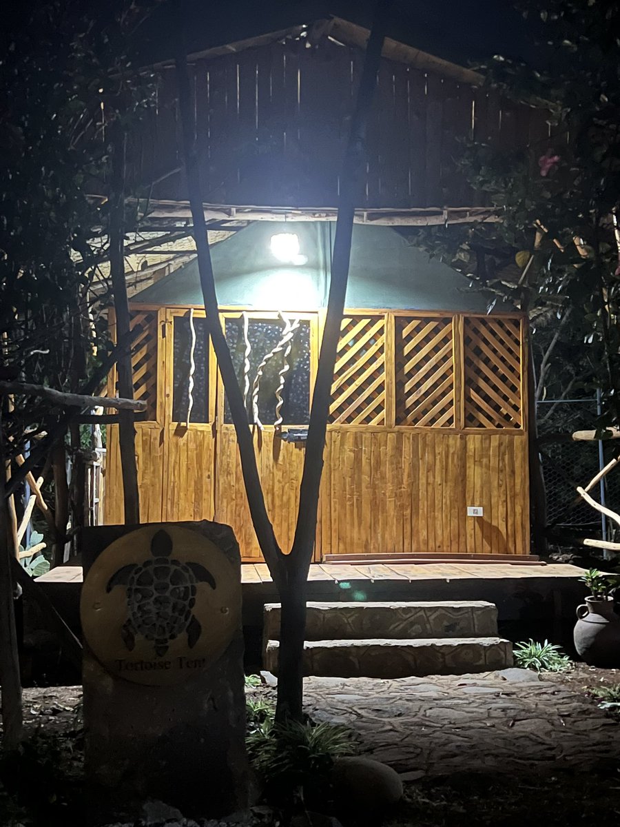 EcoPark's tweet photo. Wildlife symbol’s at our campsite bungalows 🏕️🌱🙌🦁🦓🐢🦌 will continue 🙌 https://t.co/3otwiKSwuh