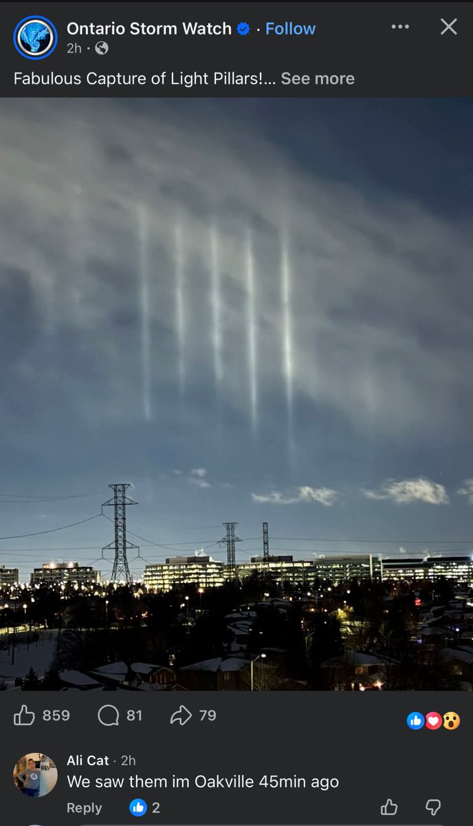 Lambo2theMoon tweet media