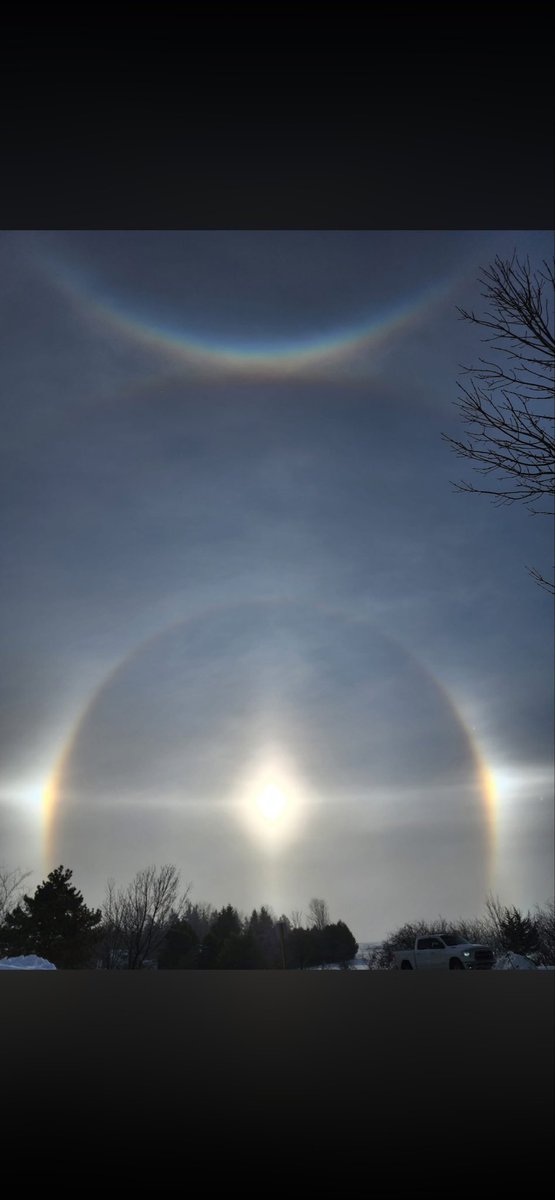 Lambo2theMoon tweet media