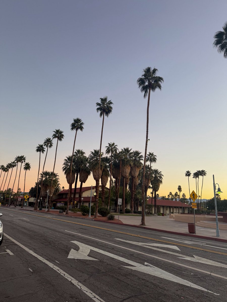 Ana Ivanovic tweet media