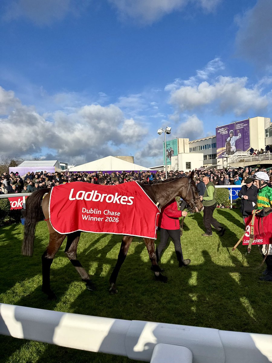 RacingBreaks's tweet image. Majborough is back in the winners enclosure for the second year running after a scintillating performance in the Ladbrokes Dublin Chase 🔥 does he win the Champion Chase at the Festival?