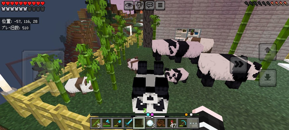 私はこれが見たかったんだ...