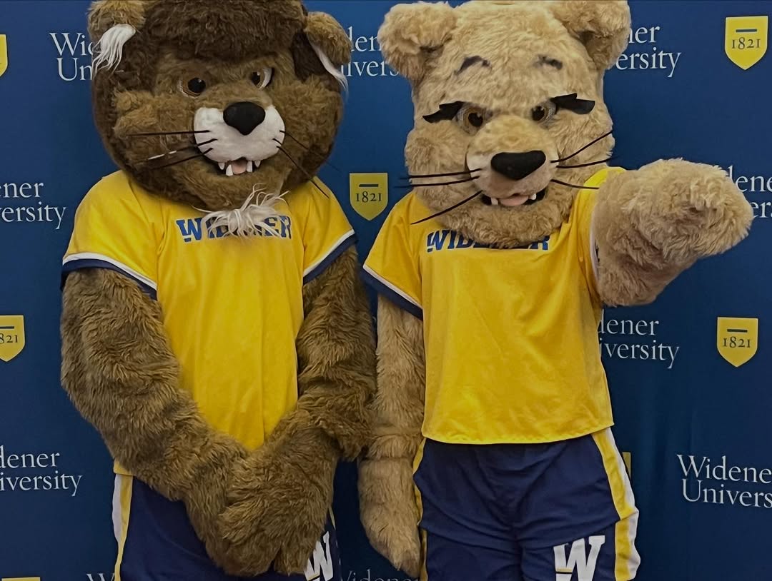 Widener Admissions tweet media