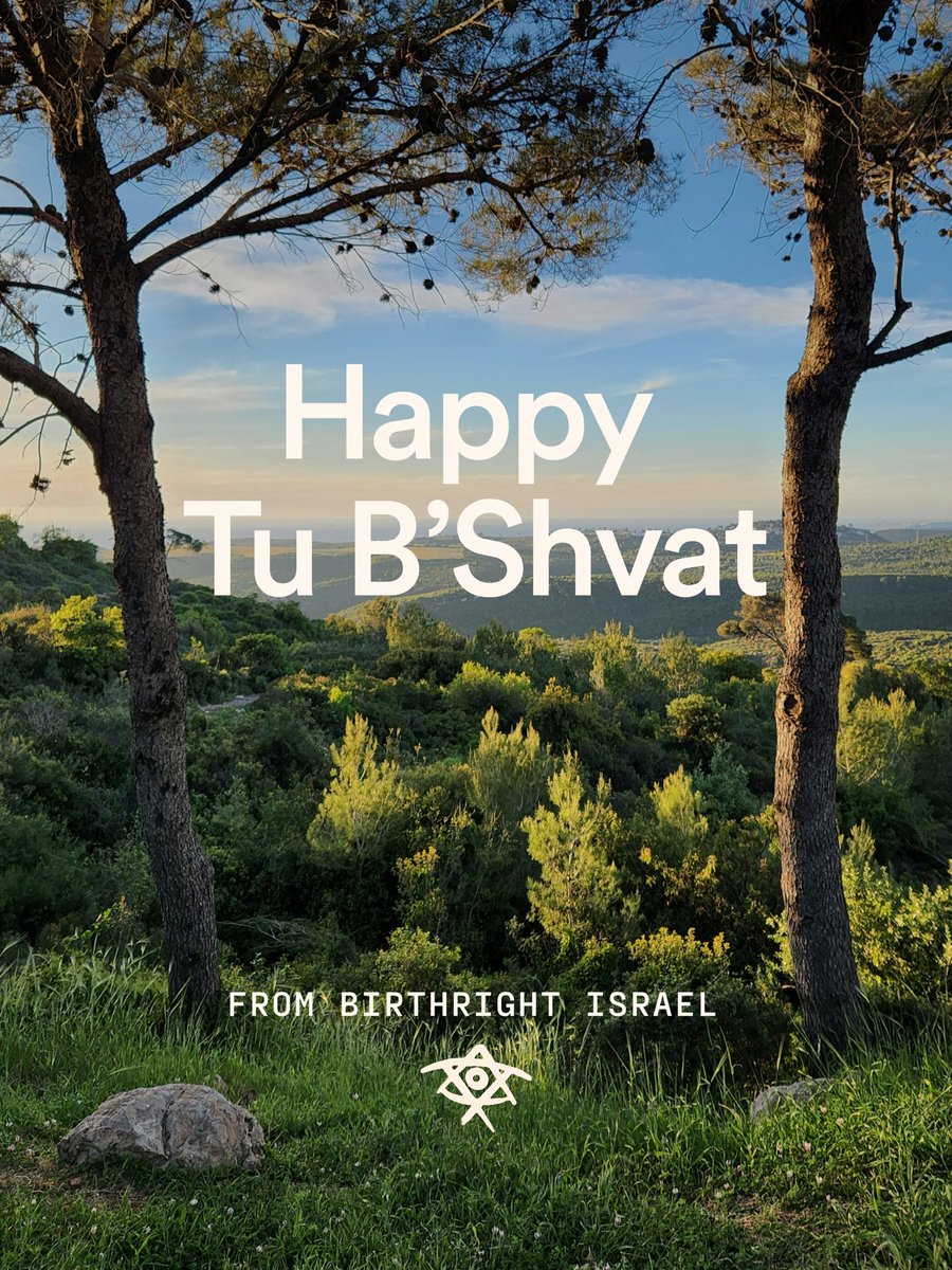 Birthright Israel tweet media