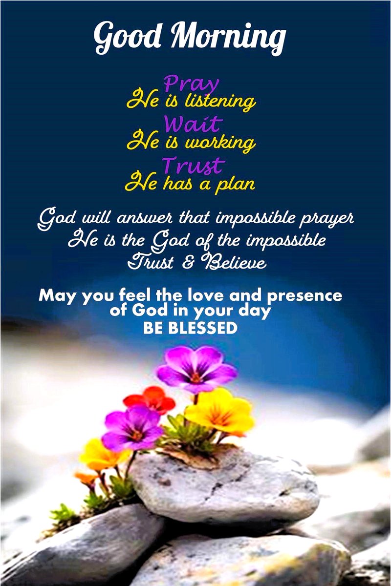 bosslady356@yahoo.com tweet media